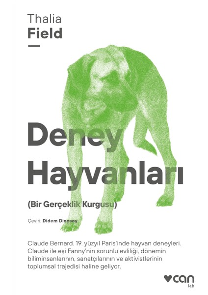 Levent Şentürk: Kentlerin Ayakbilimi - Thalia Field:Deney Hayvanları - Sevinç Çalhanoğlu: Gezintide Bir Ev Sevinç Çalhanoğlu