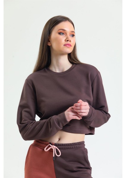 Kahverengi Bisiklet Yaka Crop Sweatshirt