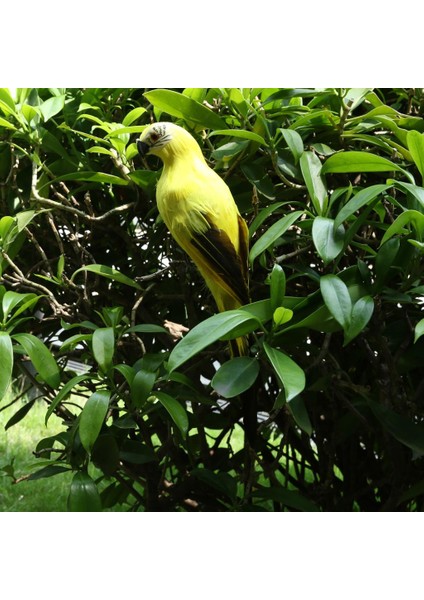 Macaw Papağan Yard Oyuncak Yapay Kuş Heykelcik Sarı (Yurt Dışından) fırsatları