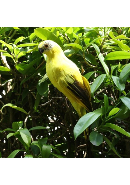 Macaw Papağan Yard Oyuncak Yapay Kuş Heykelcik Sarı (Yurt Dışından) indirimleri