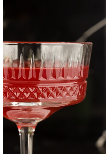 elysia 4'lü Kadeh Bardağı 260 ml