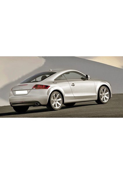 Audi Tt 2007-2014 Fren Pedalı Lastiği Manuel Vites 1K0721173B fiyatları