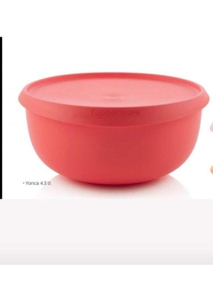 Mutfaktakimucizeler Tupperware Yonca 4,3 Lt