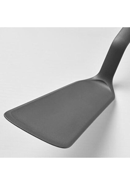 Fullandad Spatula, Gri