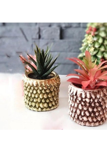 Kozalak Saksı 7 x 8 cm fiyatları