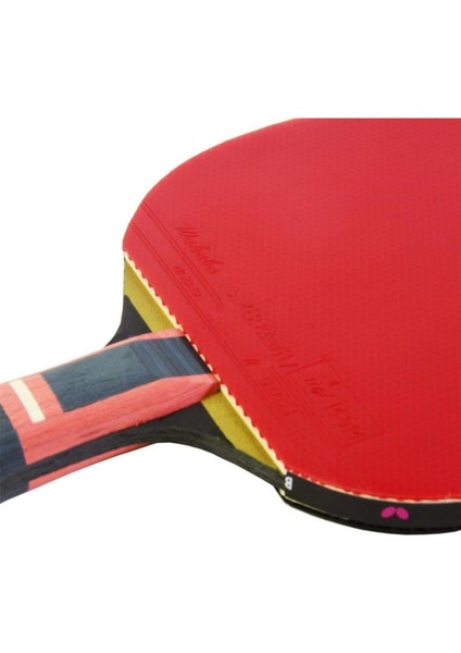 Zhang Jike Zjx6 Masa Tenisi Raketi