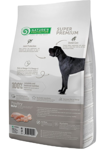 Nature's Protection Maxi Adult Large Breeds Poultry %80 Hayvansal Proteinli Düşük Tahıllı Kümes Hayvanlı Büyük Irk Köpek Maması 12 kg