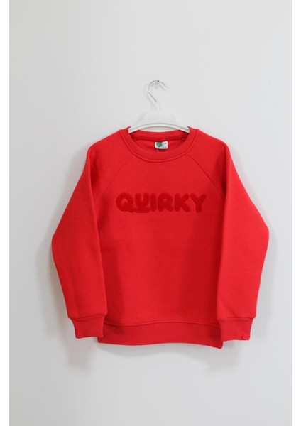 Erkek Çocuk Regular Fit Bisiklet Yaka Süzene Nakışlı Süzene Sweatshirt