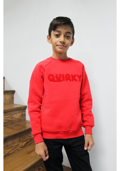 Erkek Çocuk Regular Fit Bisiklet Yaka Süzene Nakışlı Süzene Sweatshirt