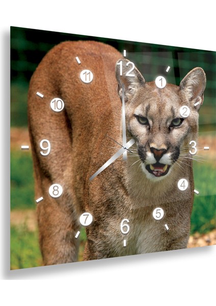 Puma Cam Tablo