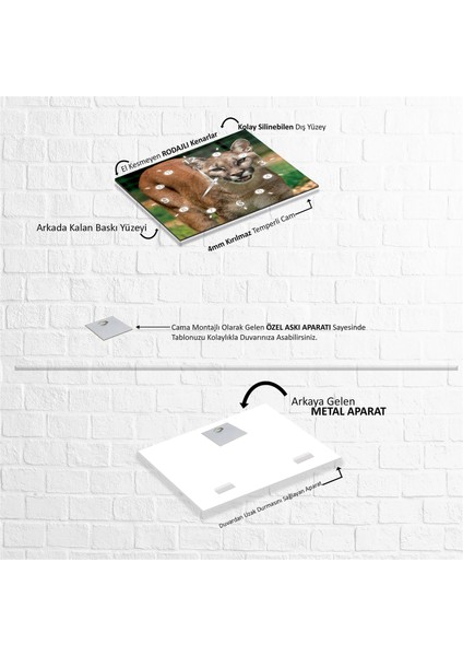 Puma Cam Tablo fırsatları