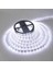 Beyaz 3 Çip Dekoratif 5 Metre Iç Mekan Şerit LED 12V--sym290123 1