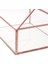 Cam Ev Teraryum Konteyner Geometrik Etli Ekici Düğün Dekor (Yurt Dışından) 3