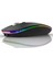 Rgb LED Kablosuz Mouse Optik Wireless Mouse Sessiz Mouse 2