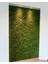 Dekoratif Yapay Bitki Duvar Kaplama Panel Şimşir Tabaka 40X60 Yeşil Dikey Bahçe 1