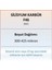 Silisyum Karbür F46 - Sic - 300-425 Mikron - 500 Gram 2