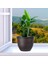 Bitki Pot Kova Bitki Konteyneri Retro Houseplants Arka Bahçe Veranda Için Reçine (Yurt Dışından) 3