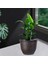 Bitki Pot Kova Bitki Konteyneri Retro Houseplants Arka Bahçe Veranda Için Reçine (Yurt Dışından) 4