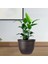 Bitki Pot Kova Bitki Konteyneri Retro Houseplants Arka Bahçe Veranda Için Reçine (Yurt Dışından) 5