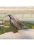 Tüylü Turtledove Simülasyon Turtledove Heykel Için Sundurma Masa Süsleri 21X16CM (Yurt Dışından) 3