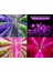 45W LED Grow Işık Paneli Hidroponik Iç Mekan Bahçe-Eu Için Dolu (Yurt Dışından) 5