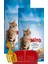 Mix Adult Cat Tavuklu ve Balıklı Renkli Taneli Kedi Maması 1kg x 2 Adet + Kürek + Mamalık 1