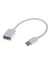 Usb3.1 Tip C To USB 12 Için Bir Dişi Adaptör Otg Veri Kablosu (Yurt Dışından) 4
