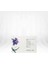 Z. One Simply Zen Age Benefit & Moisturizing Serum 12X5ML 1