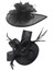 2pcs Kadın Tüy Head Band Hat Fascinator Düğün Partisi Ascot , Kadınlar Siyah 2 (Yurt Dışından) 1