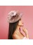 2x Mesh Fascinator Hat Saç Klipsi Kişme Kokteyl Çay Partisi Pembe Gül Kırmızı (Yurt Dışından) 3