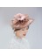 2x Mesh Fascinator Hat Saç Klipsi Kişme Kokteyl Çay Partisi Pembe Gül Kırmızı (Yurt Dışından) 5