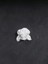 Küçük Üçlü Güller Çiçek 3 x 3 cm 1