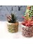 Kozalak Saksı 7 x 8 cm 2