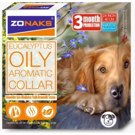 Zonaks Köpekler Için Okaliptus Aromatik Tasma