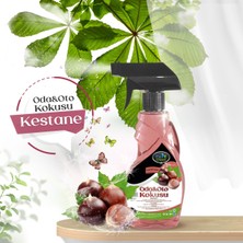 Fix Clean Oda & Oto Kokusu Kestane 500 ml