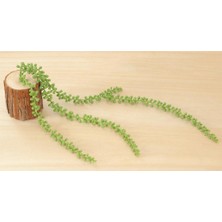 Vonluxe Uzun Inciler String Fake Yapay Succulents Asılı Bitkiler Basket Planı  (Yurt Dışından)