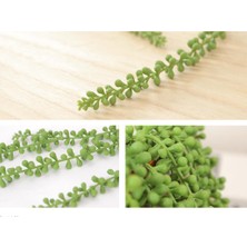 Vonluxe Uzun Inciler String Fake Yapay Succulents Asılı Bitkiler Basket Planı  (Yurt Dışından)