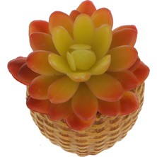 Vonluxe Yapay Etli Lotus Çiçek Yaprakları Bitki Sarı Kırmızı  (Yurt Dışından)