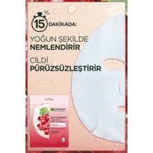 Garnier Nem Bombası Dolgunlaştırıcı Kağıt Yüz Maskesi