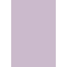 Flormar-Solgun Ciltlere Özel Sarı Renk Dengeleyici Anti-Dullness CC Krem (CC01 Lila Bazlı Ten Rengi) 8690604534708