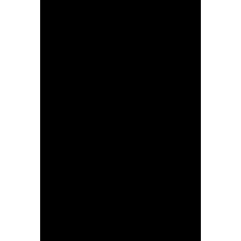 Flormar-İnce Keçe Uçlu ve Yüksek Pigmentli Yarı Mat Görünüm Veren Dipliner (000 Siyah) 8690604330003