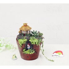 Seasong Kirpi Çiçek Sedum Etli Pot Ekici Bonsai Oluk Kutusu Bitki (Yurt Dışından)