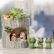 Seasong Kirpi Çiçek Sedum Etli Pot Ekici Bonsai Oluk Kutusu Bitki (Yurt Dışından)