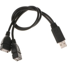 Loviver USB 2.0 Erkek - 2 Çift USB Dişi Y Sıfır Hub Hub Güç Adaptör Kablosu (Yurt Dışından)