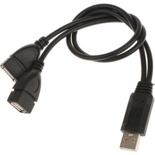 Loviver USB 2.0 Erkek - 2 Çift USB Dişi Y Sıfır Hub Hub Güç Adaptör Kablosu (Yurt Dışından)