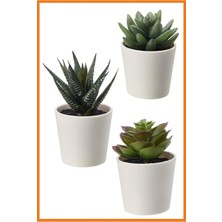 EC Shop Alony Home Fejka Saksılı Yapay Bitki 3 Adet 6 cm Kaktüs