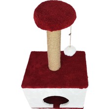 Patiderm Kare Kedi Evi ve Tırmalama Platformu