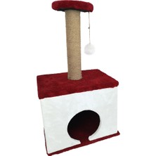 Patiderm Kare Kedi Evi ve Tırmalama Platformu