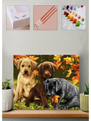 Carmen Sayılarla Boyama Seti Yavru Köpekler