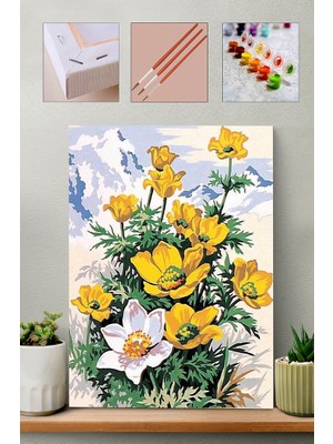 Sayılarla Boyama Seti - Çiçekler